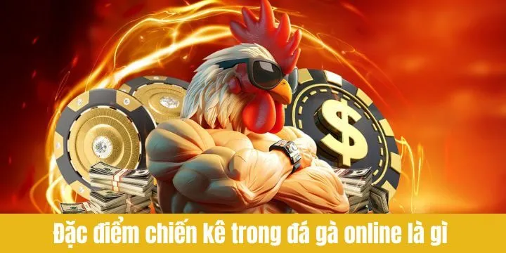 Bí quyết chơi đá gà để đạt hiệu quả cao nhất 2026