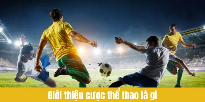 Giới thiệu tổng quan cá cược thể thao là gì