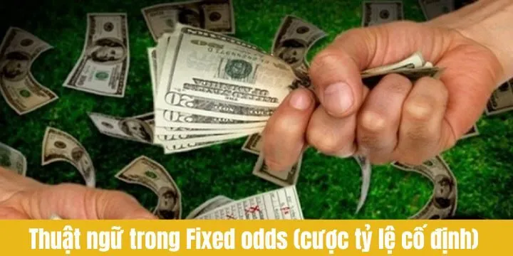 Nắm bắt thuật ngữ trong Fixed Odds (Cược tỷ lệ cố định)
